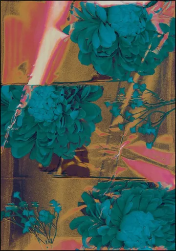 Hologarden