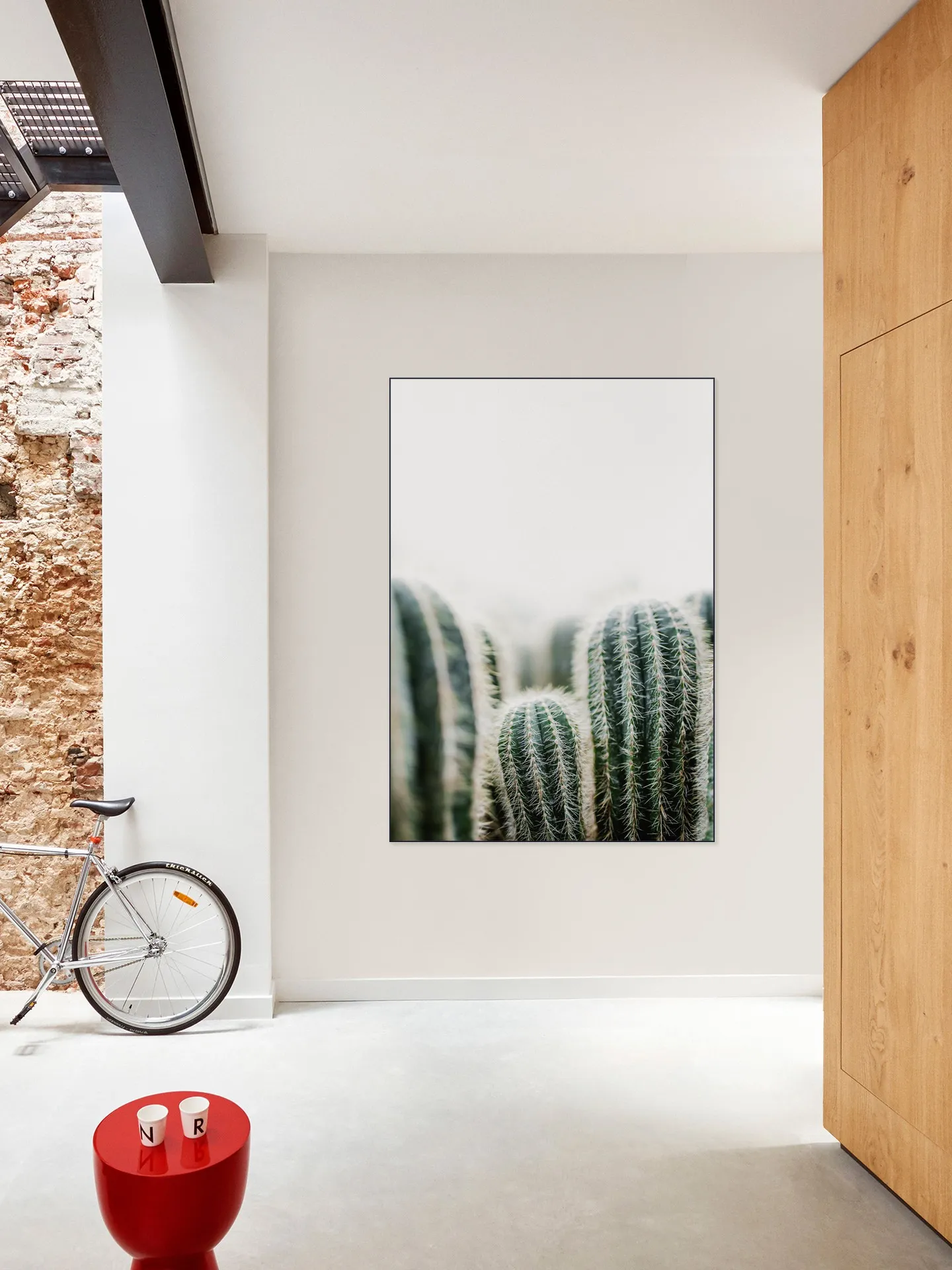 Cactus