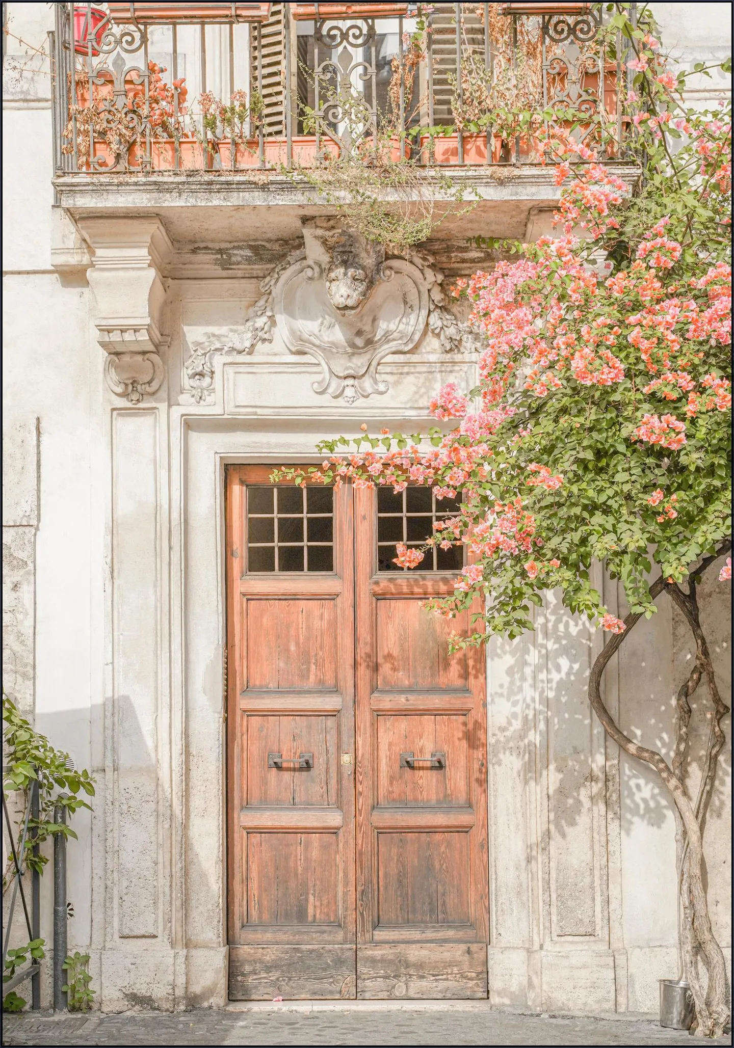 Floral Entry in Rome