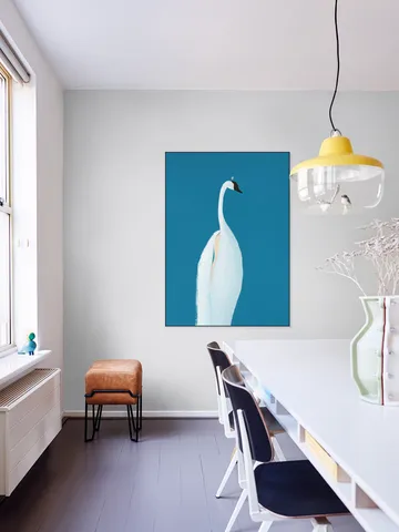 Swan Maybe