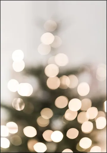 Christmas Lights 1