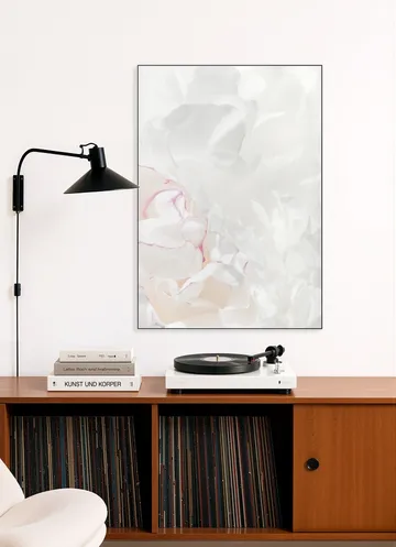Peony 21