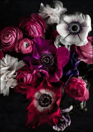Dark Flowers