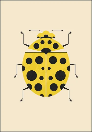 The Lemon Ladybird