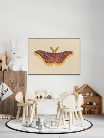 Butterfly Effect