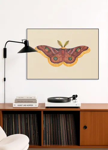Butterfly Effect
