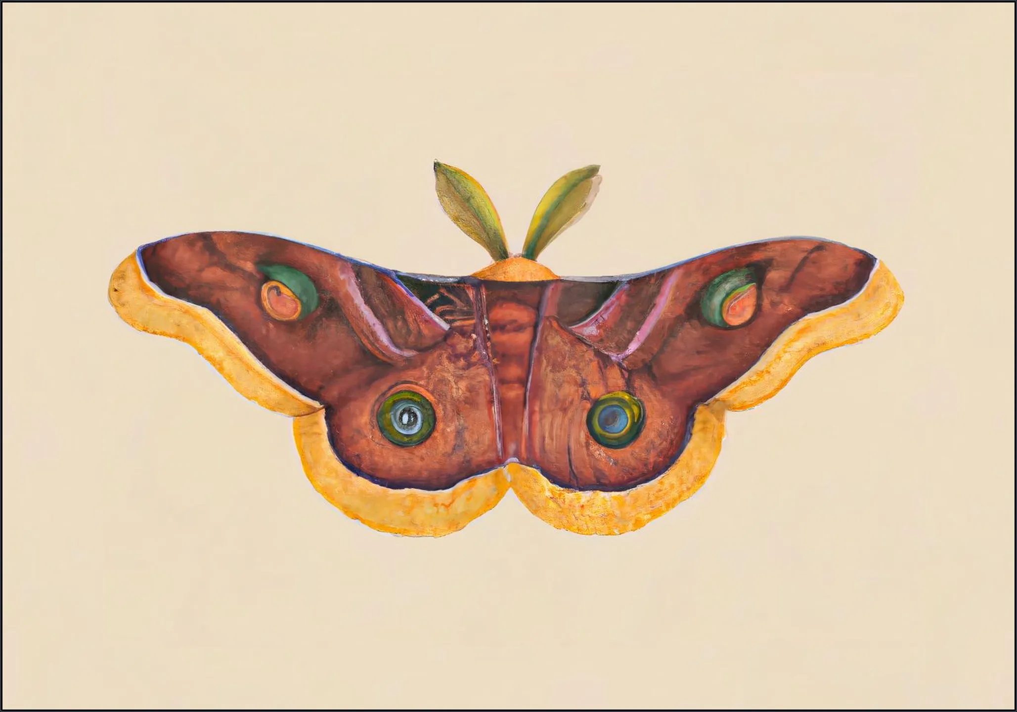 Butterfly Effect