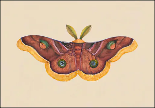 Butterfly Effect