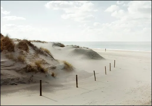 Minimalistic Beachviews