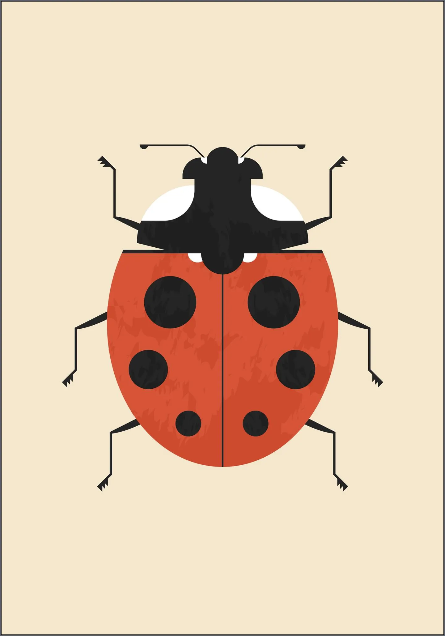 The Ladybug