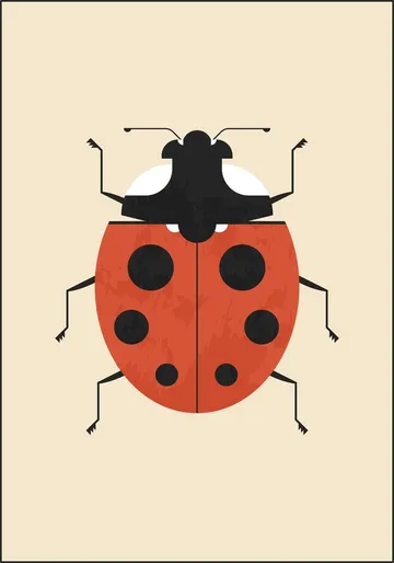 The Ladybug