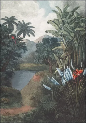 Tropical Lake