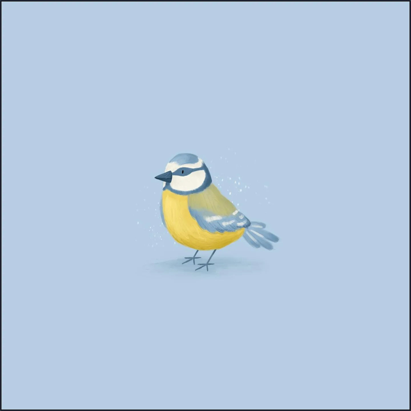 Blue Tit