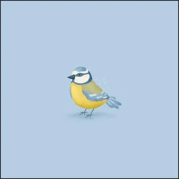 Blue Tit