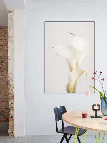 White Calla Lily No 3