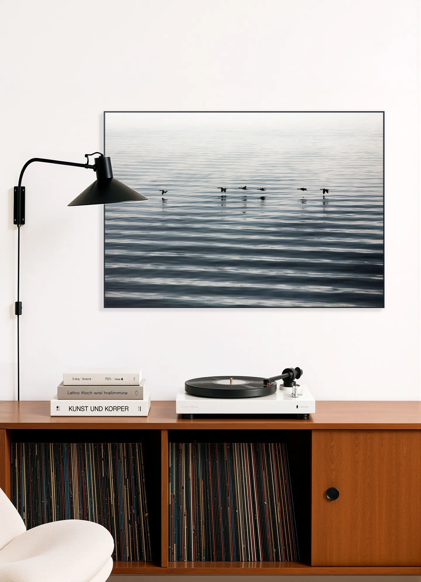 Waddenislands-Birds Flyover