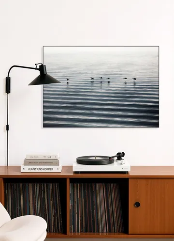 Waddenislands-Birds Flyover