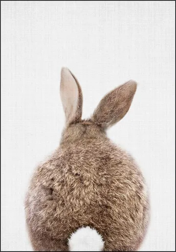 Print 317 Rabbit