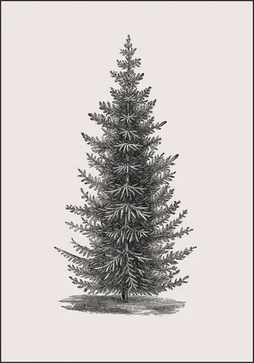 Forest Tree light