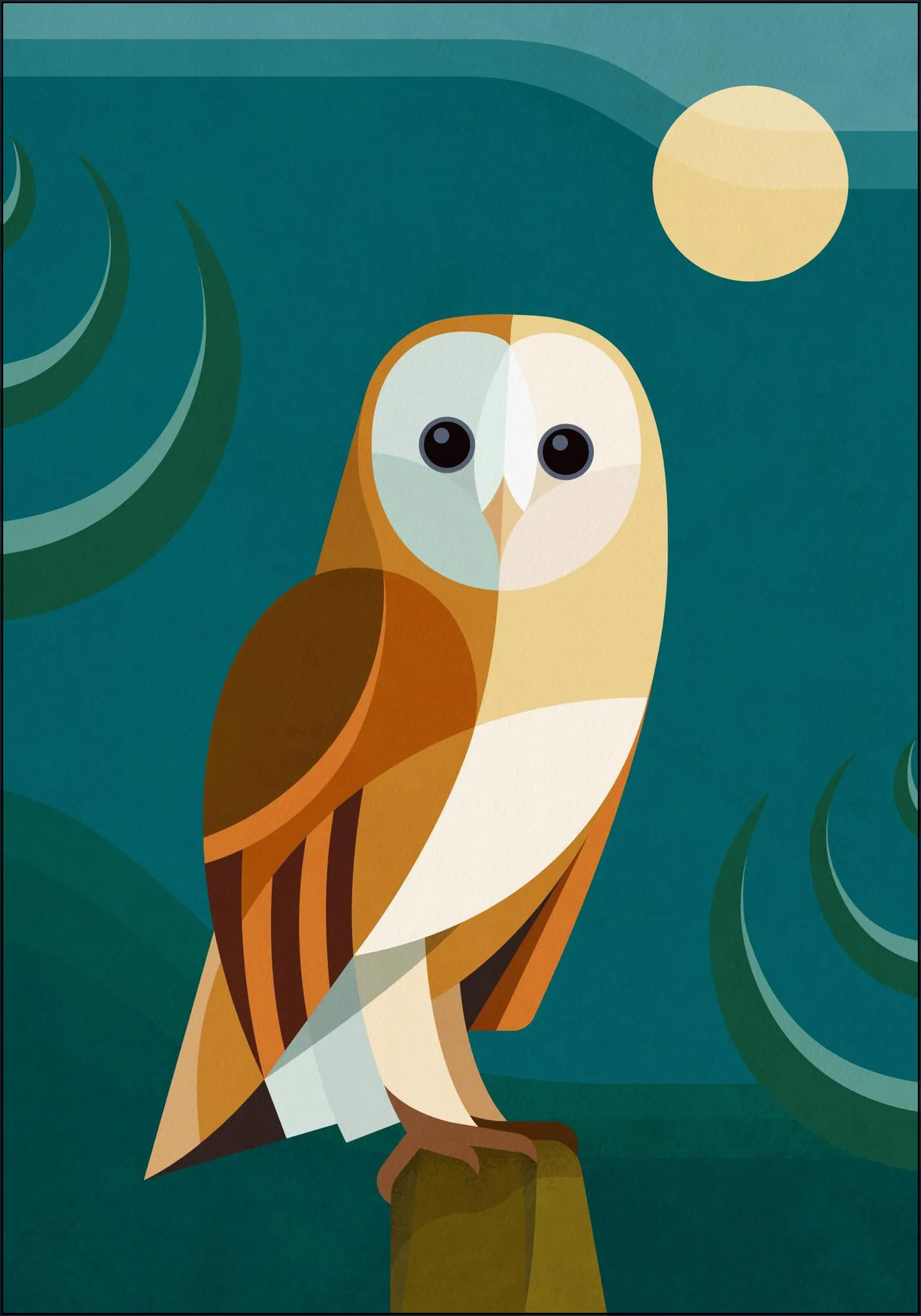 Owl