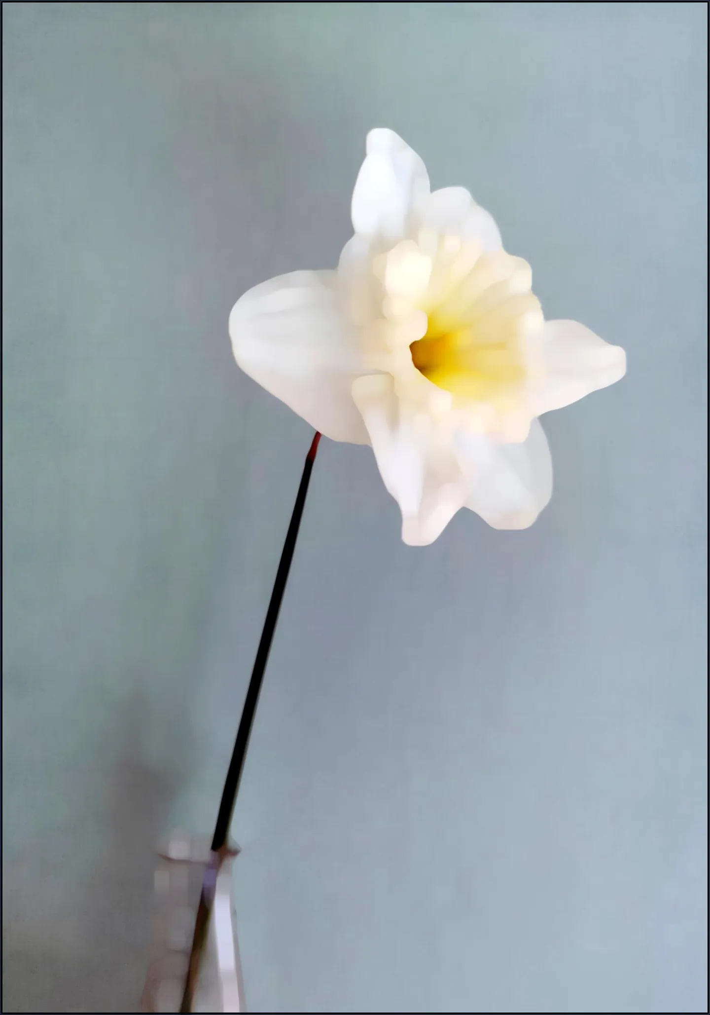 Narciso