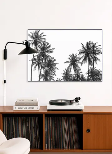 Palm Trees in Africa