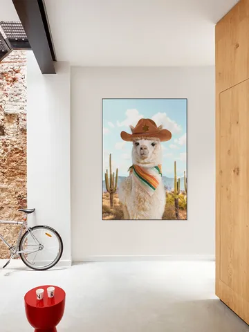 Cowboy Alpaca