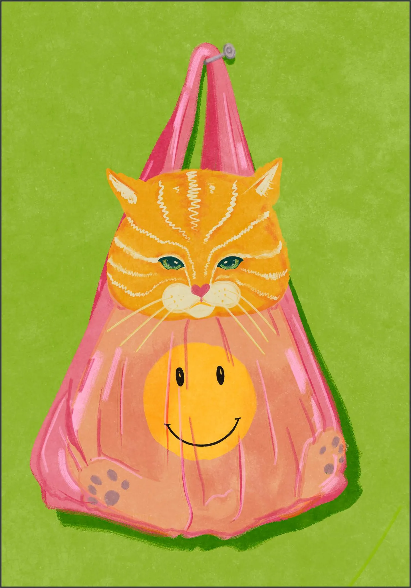 Cat In A Bag