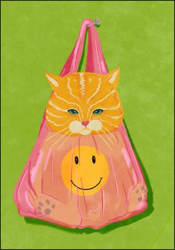 Cat In A Bag