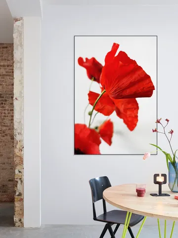 Poppies