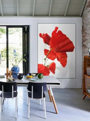 Poppies