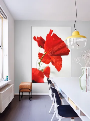 Poppies