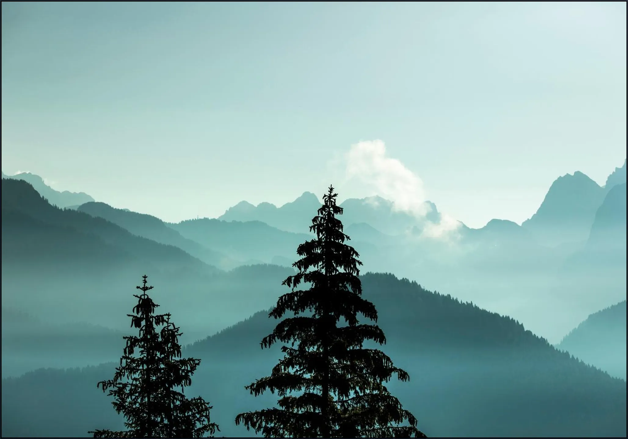 Alpine Forest And Blue Mountain Layers