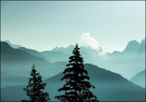 Alpine Forest And Blue Mountain Layers
