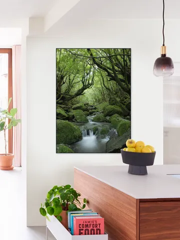 Mystical moss forest