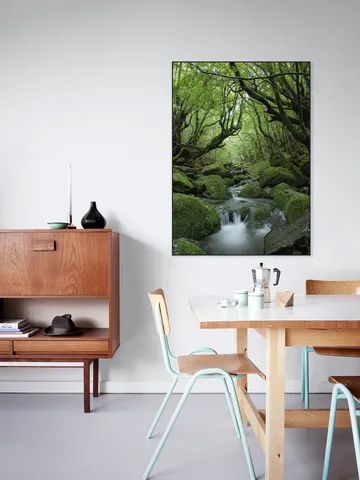 Mystical moss forest