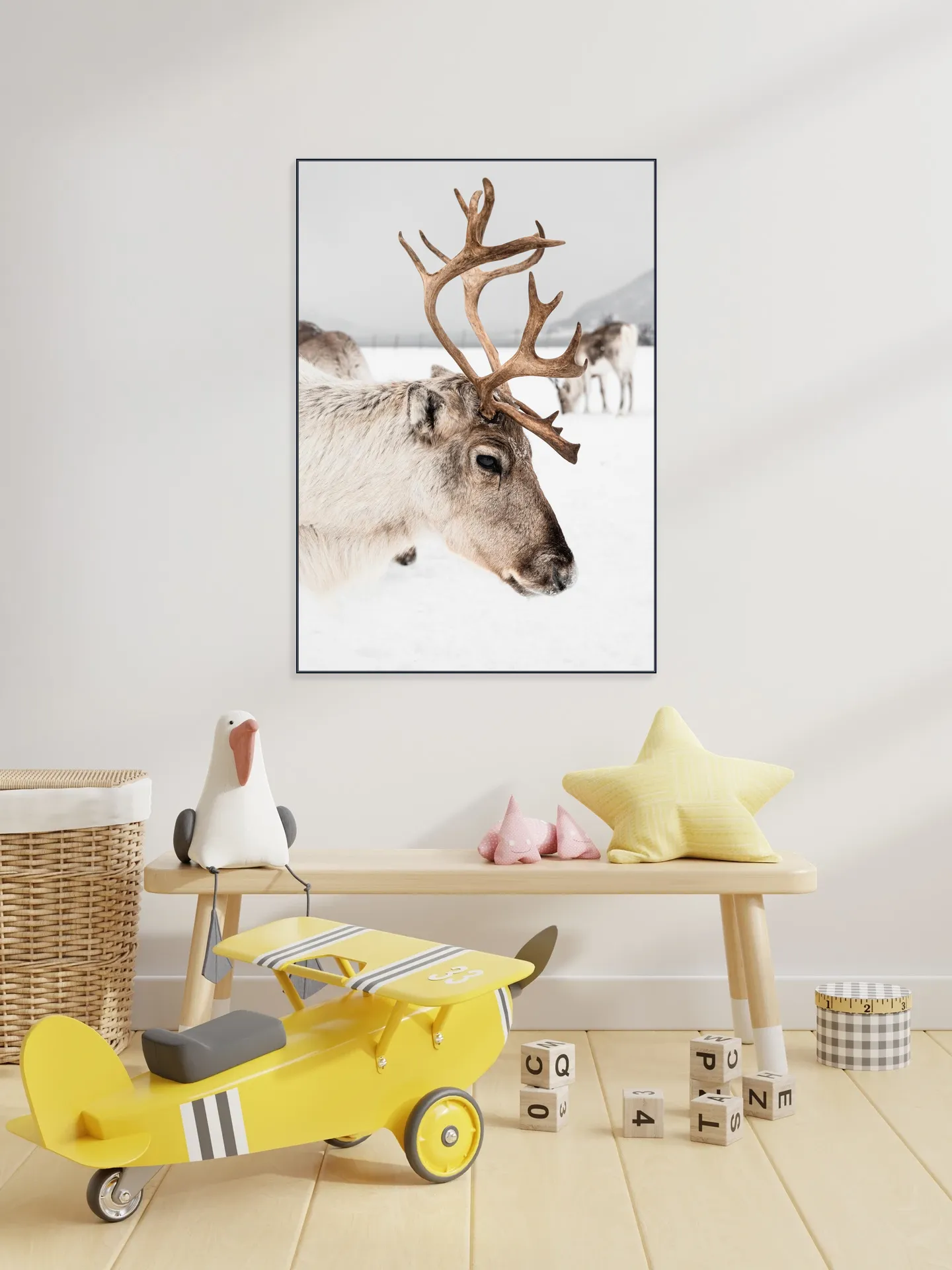 Reindeer in Norway