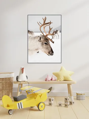 Reindeer in Norway