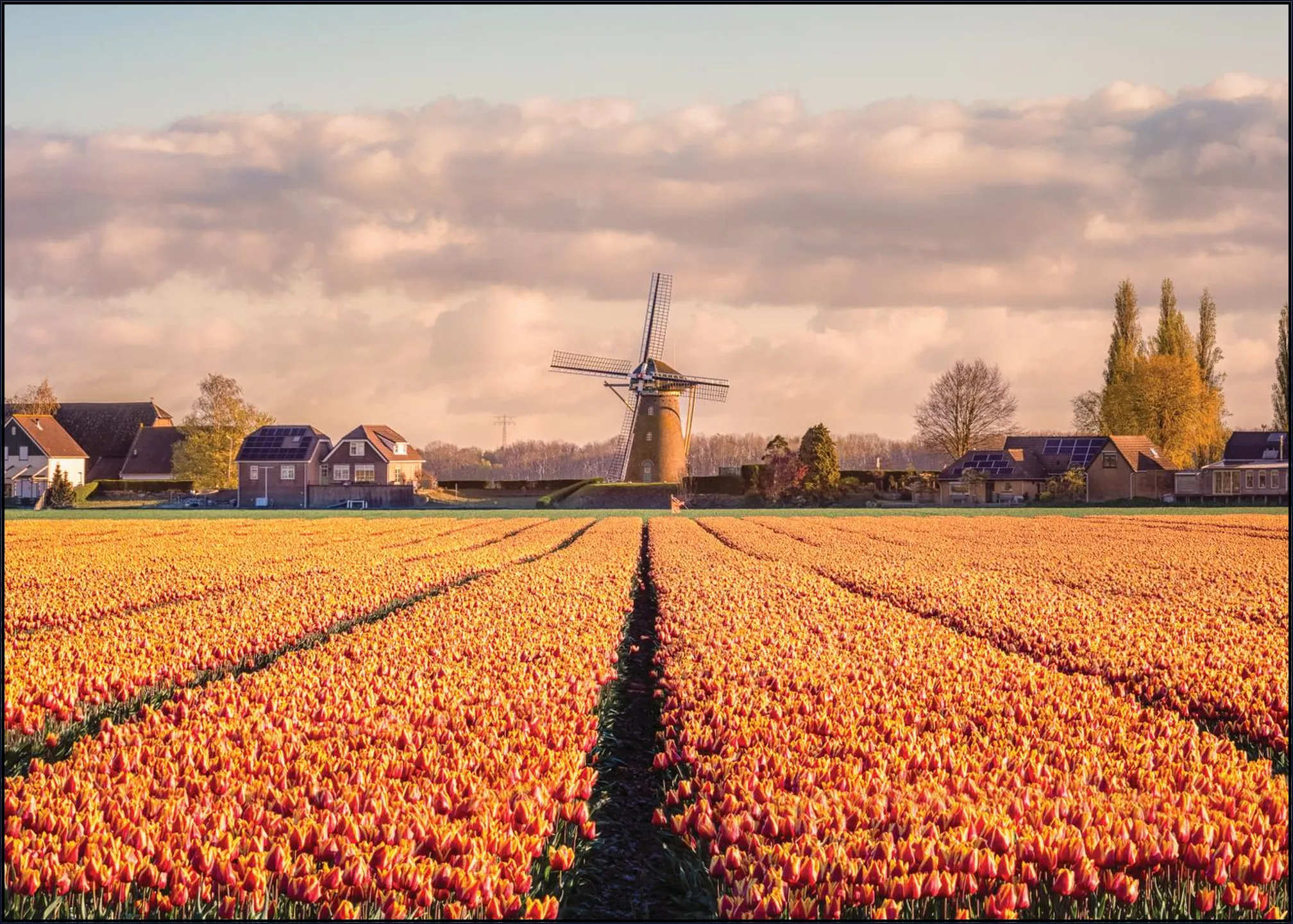 Windmill Zuid-Beijerland