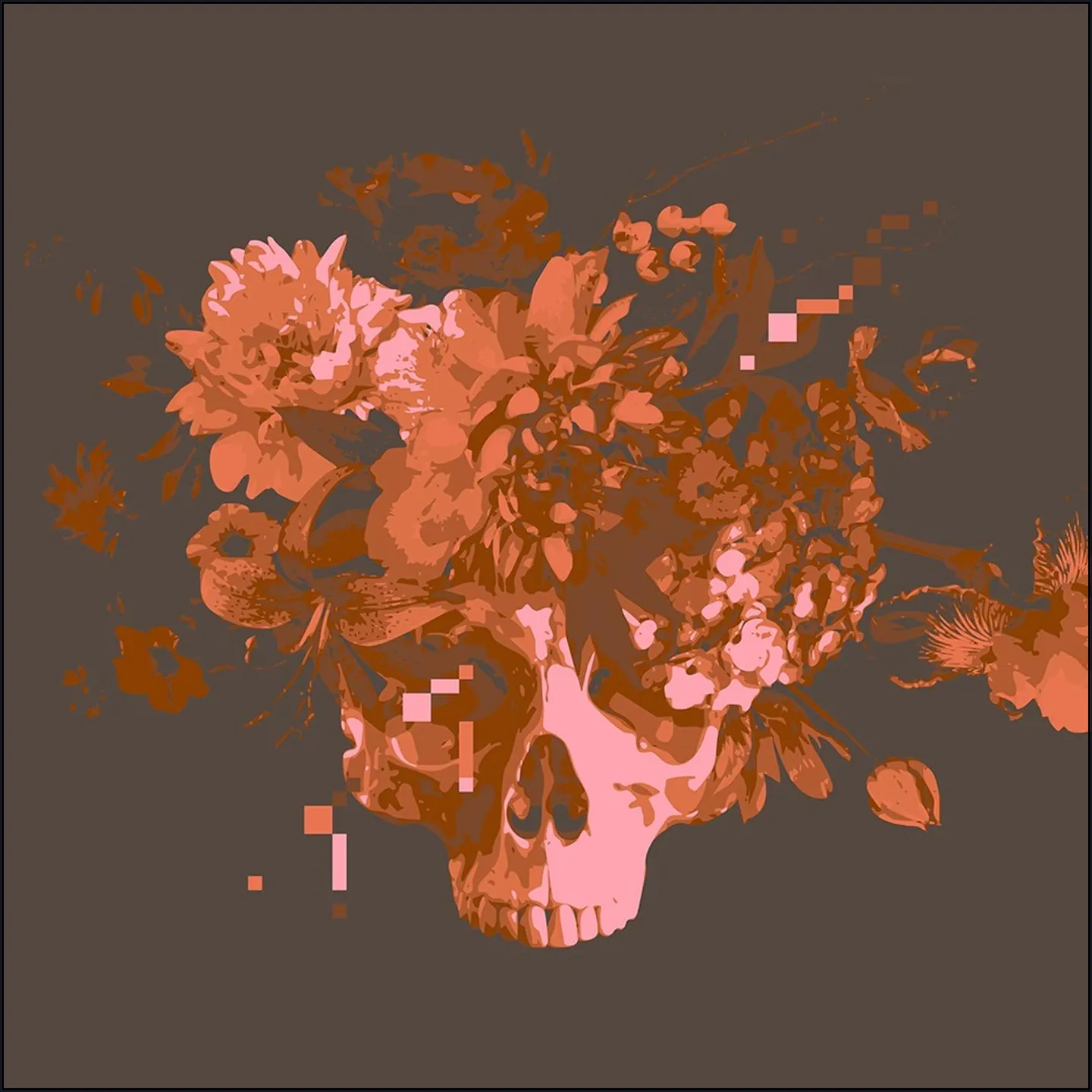 Skully Rosé