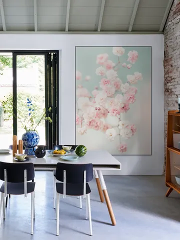 Pink Gypsophilia Flowers