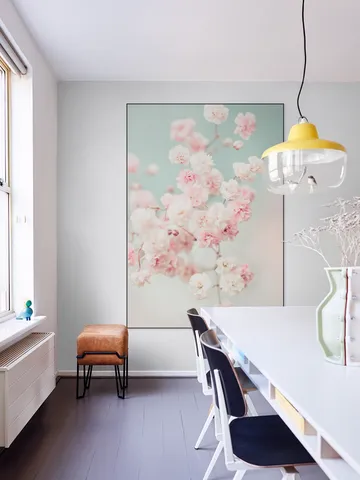Pink Gypsophilia Flowers
