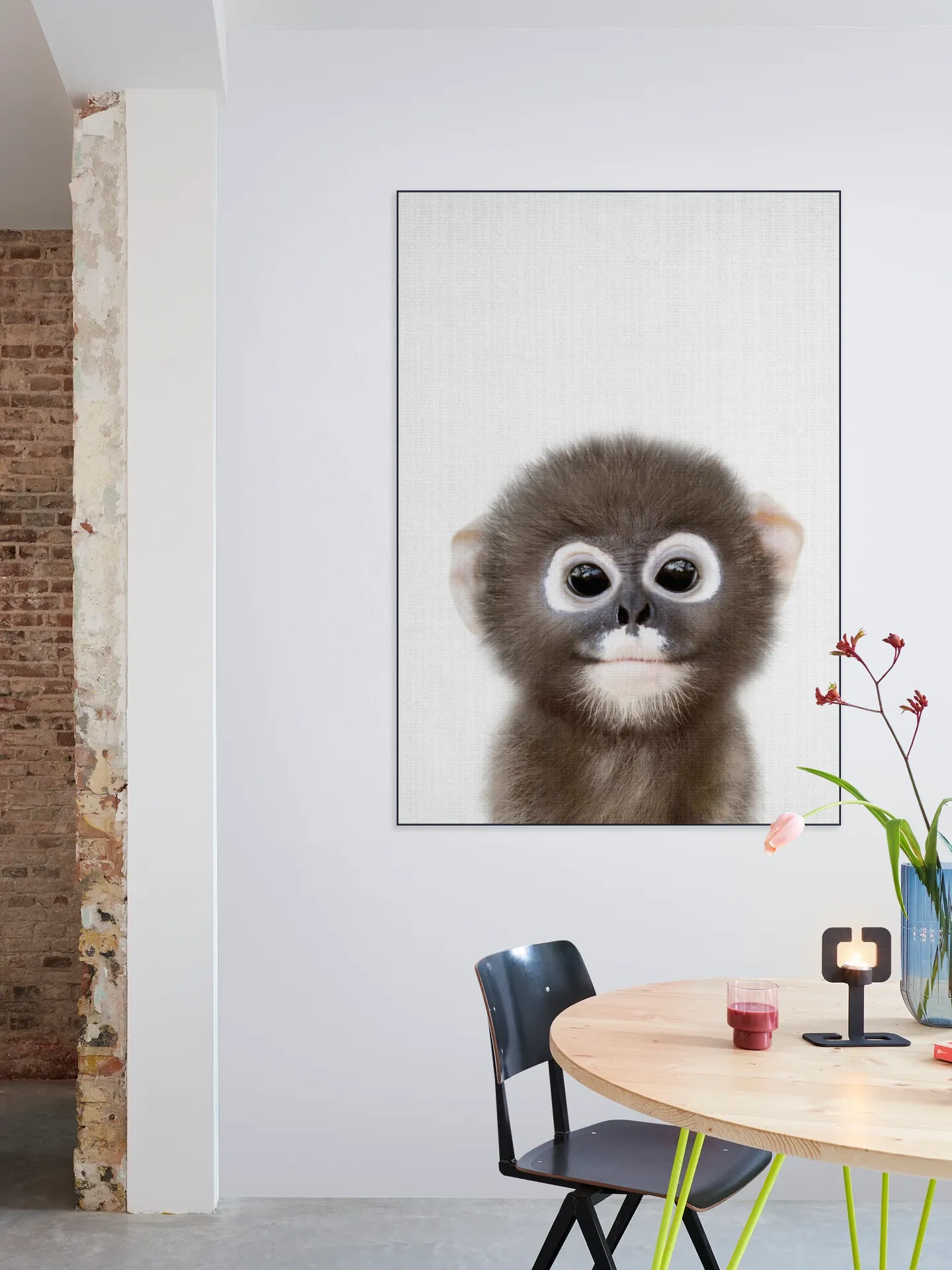 Baby Monkey