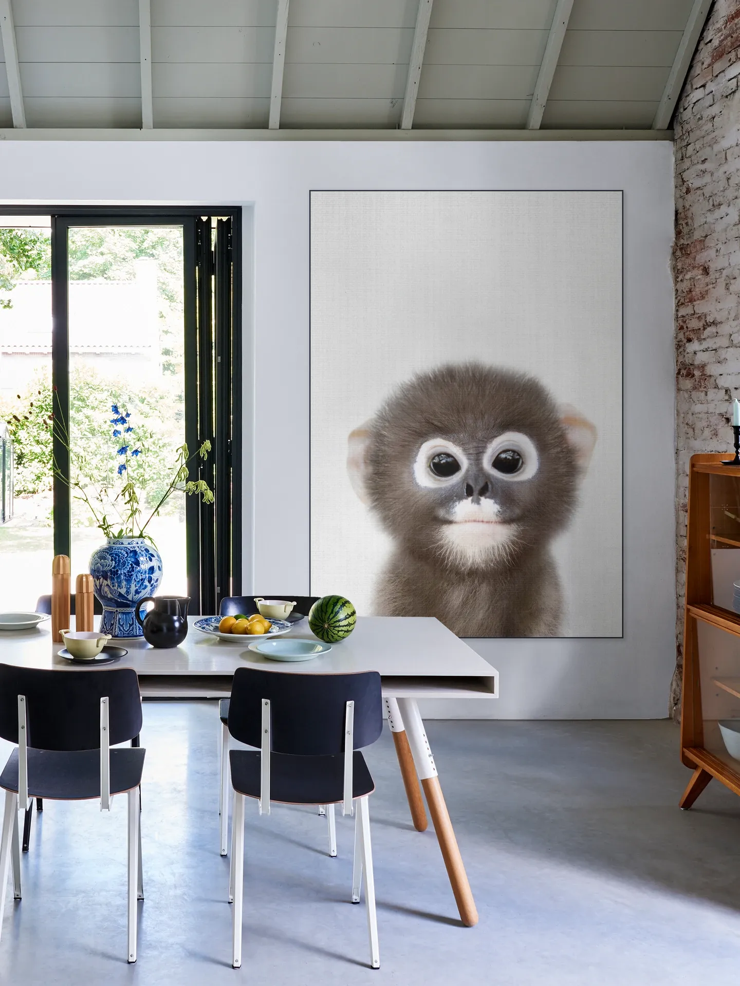 Baby Monkey