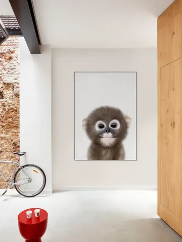 Baby Monkey