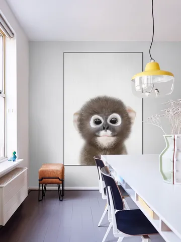Baby Monkey
