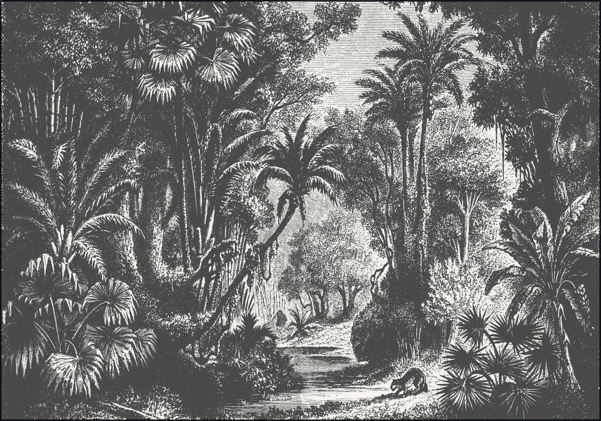 Indian Jungle