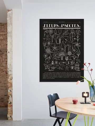 Fleurs et Insectes