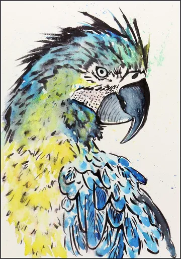 The Blue Macaw Parrot
