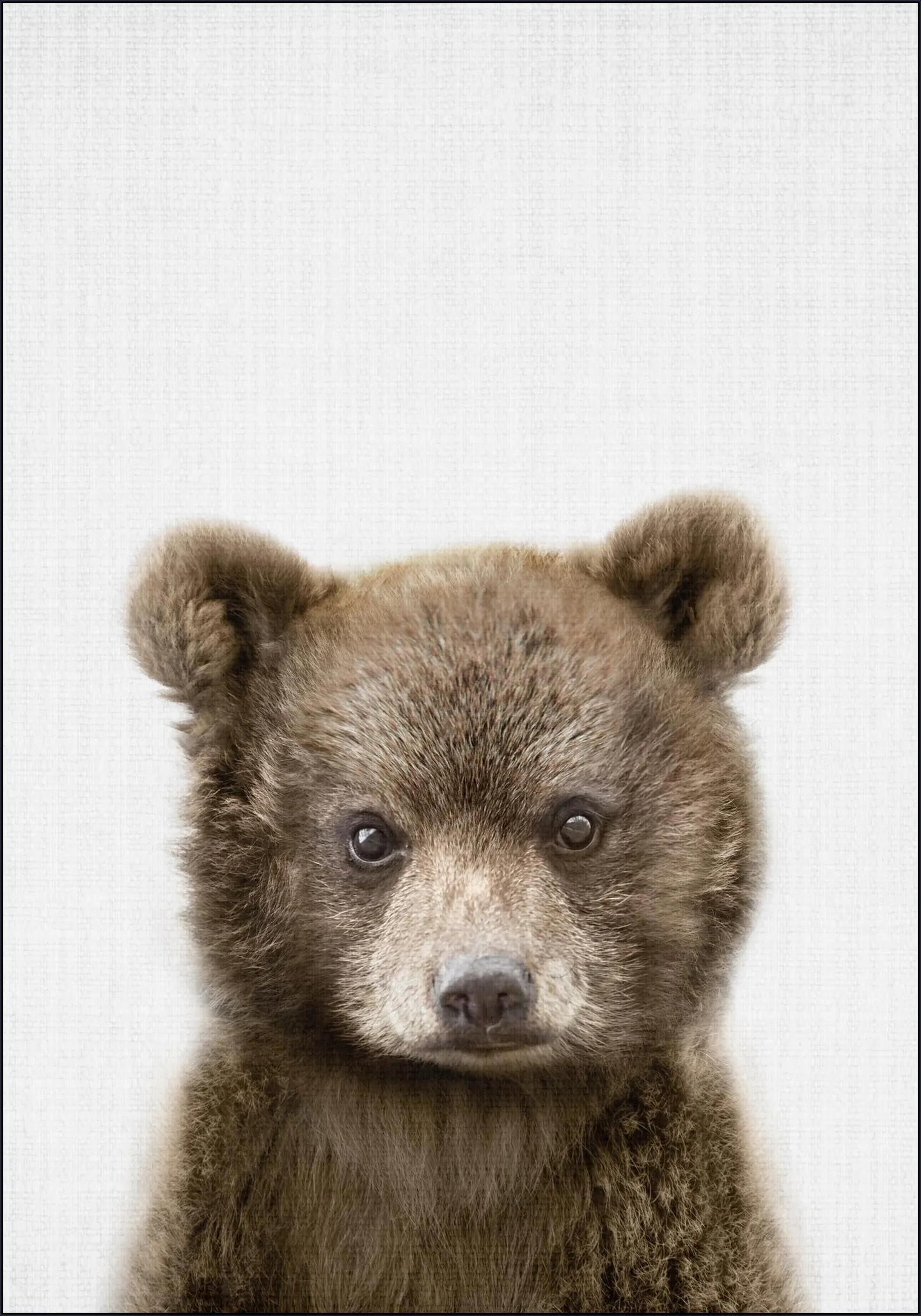 Print 353 Bear